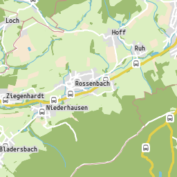 Waldbrol